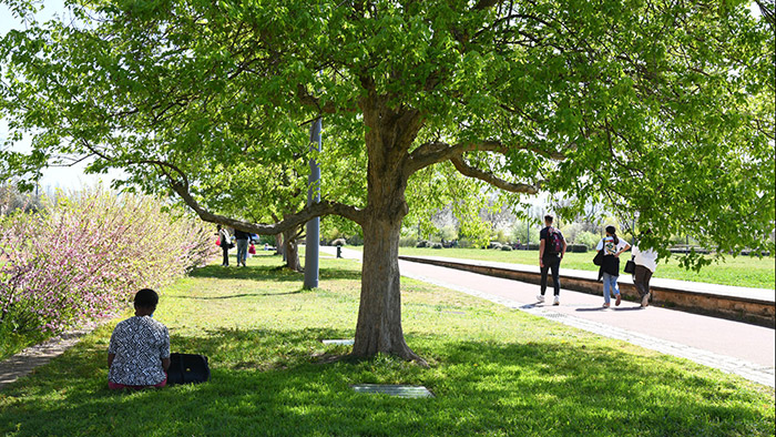 Parc de Gerland : arbre, verdure et promenade