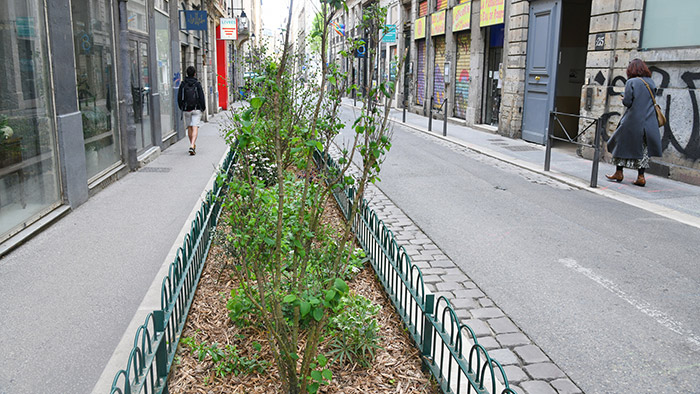 Végétalisation rue des Capucins, Lyon 1er