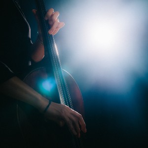 Journée du violoncelle