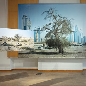 Beyond, exposition photographique documentaire à Dubaï