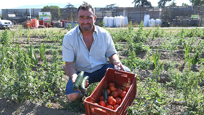 Henry Chambe cultive des légumes à Fleurieux-sur-l'Arbresle, à 22 km de la place Bellecour.