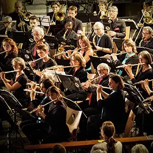Ensemble Orchestral de Lyon 9ème