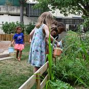 Enfants pieds nus, arrosant des plantations dans le jardin de leur crèche